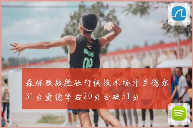 森林狼战胜独行侠技术统计兰德尔31分爱德华兹20分合砍51分